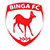 Binga